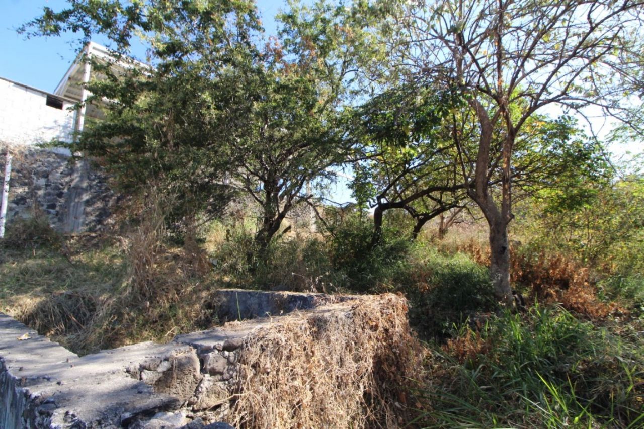 Terrenos en Emiliano Zapata