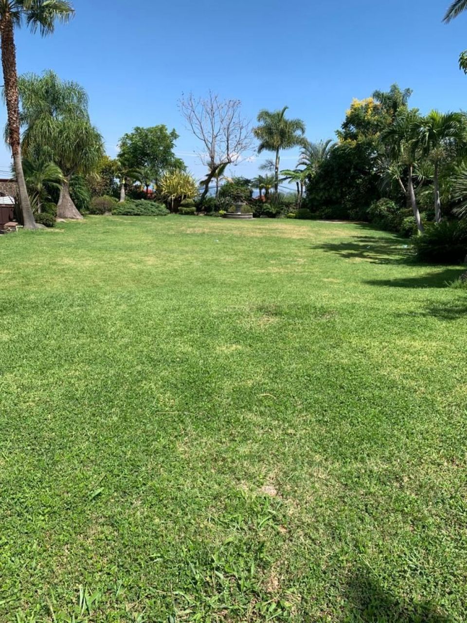 Terrenos en Lomas Tzompantle