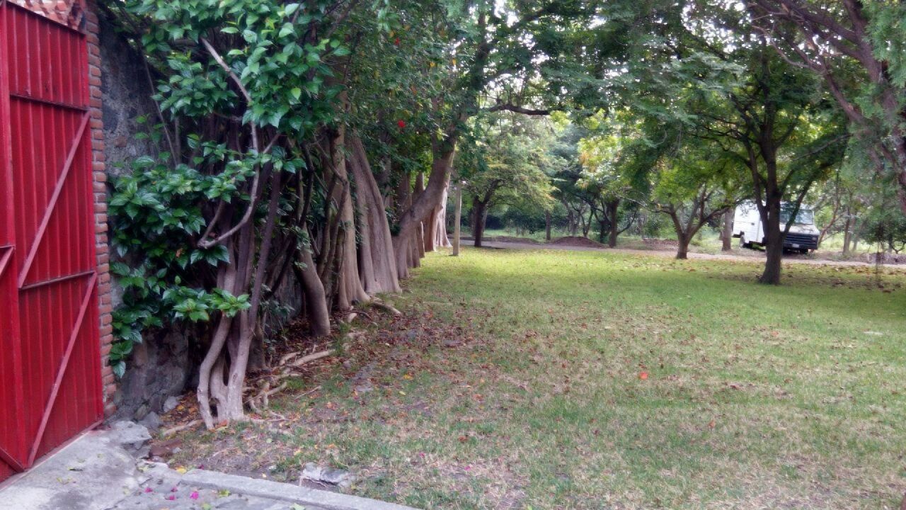 Terrenos en Zacatepec