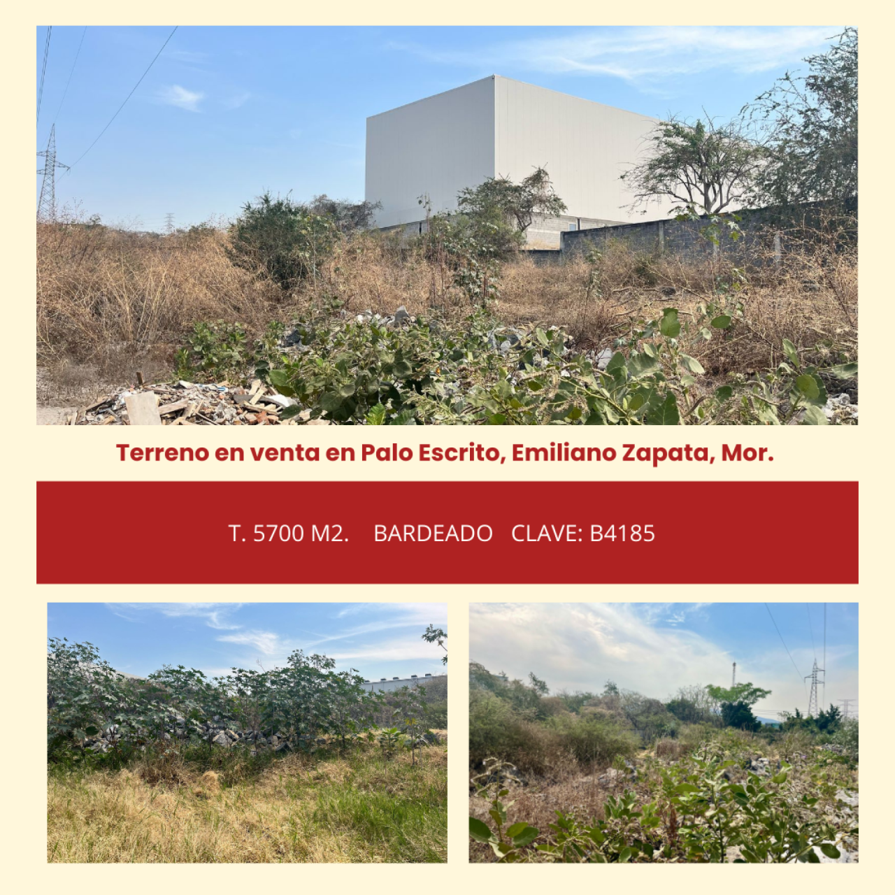 Terrenos en Palo Escrito