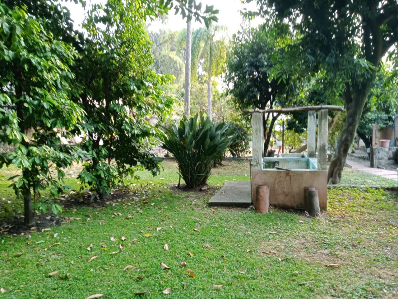Casas en Acapantzingo
