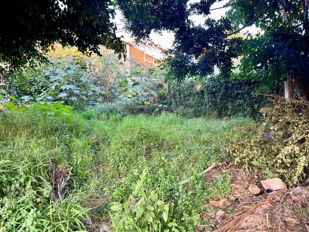 Terrenos en Empleado