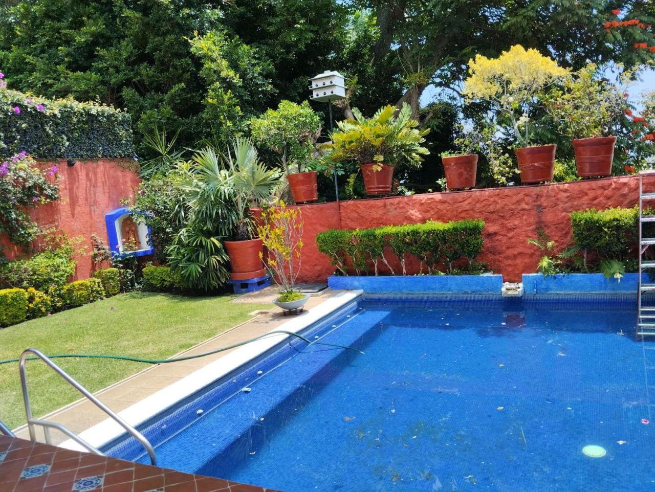 Condominios en Bellavista