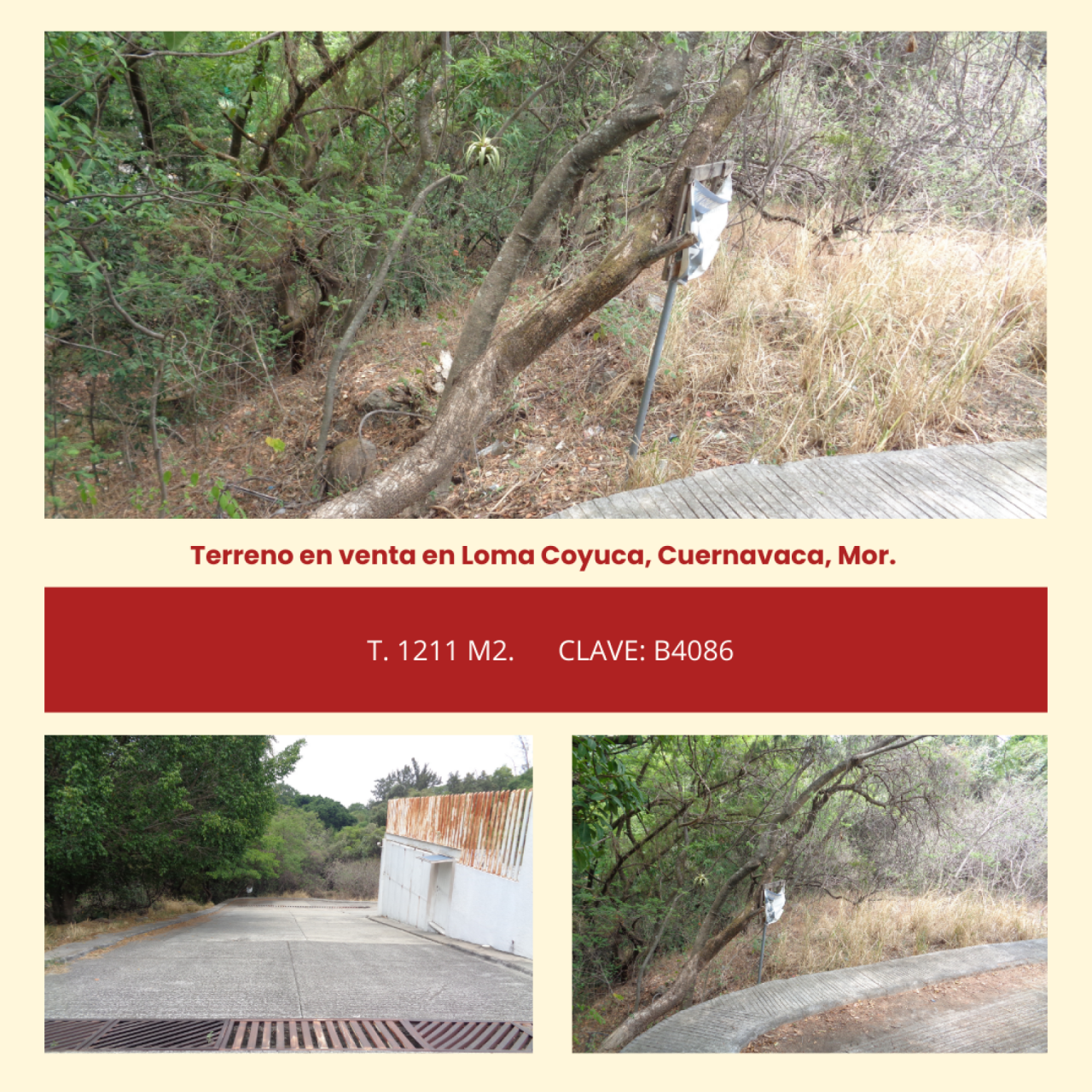 Terrenos en Lomas Coyuca