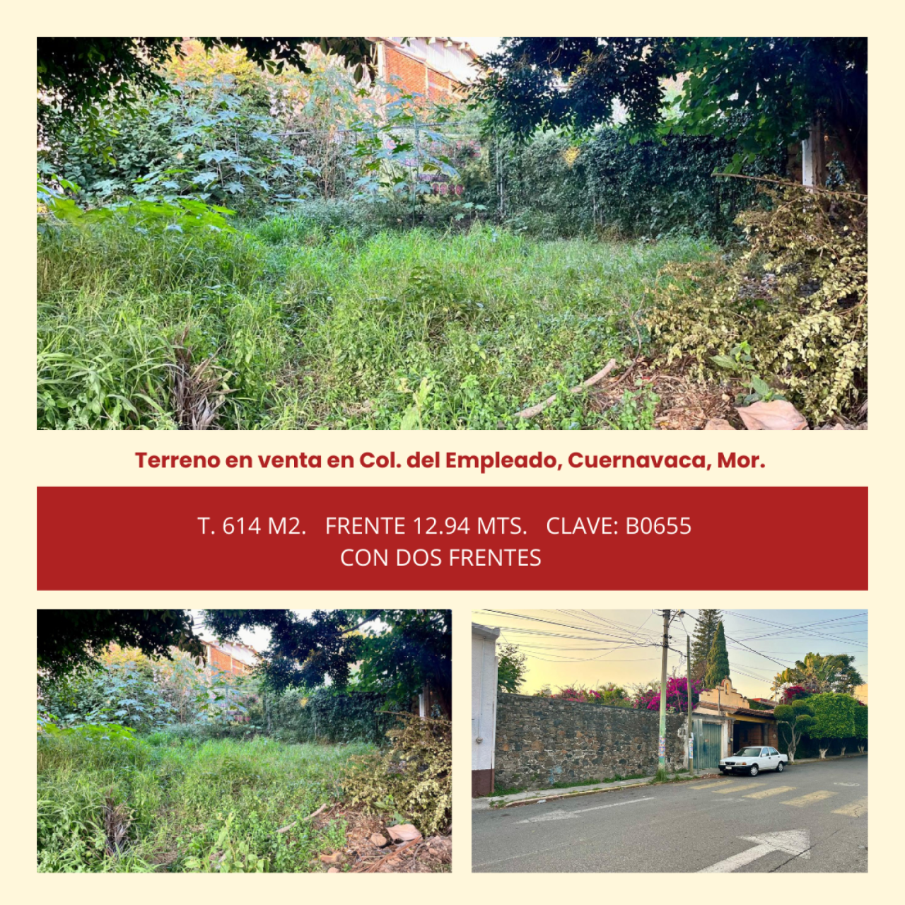 Terrenos en Empleado