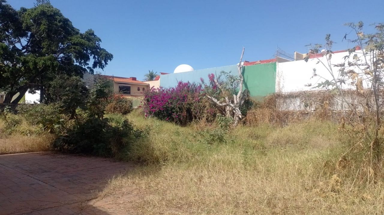 Terrenos en Delicias