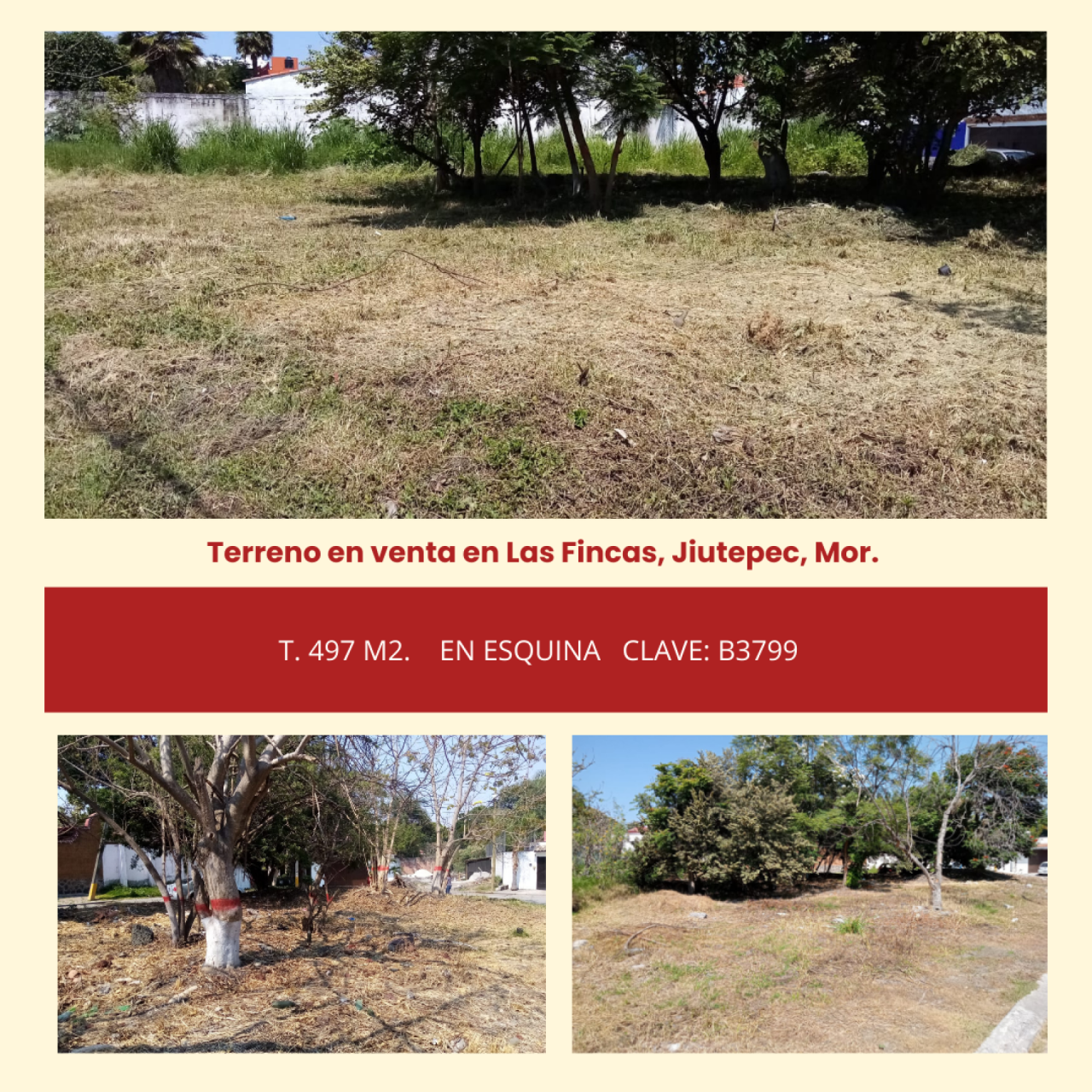 Terrenos en Las Fincas