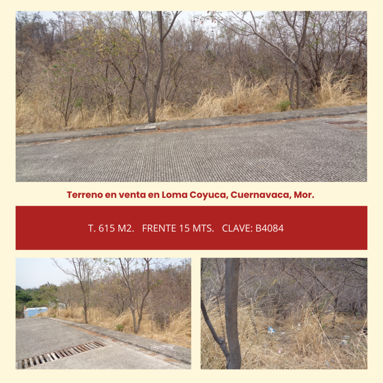 Terrenos en Lomas Coyuca