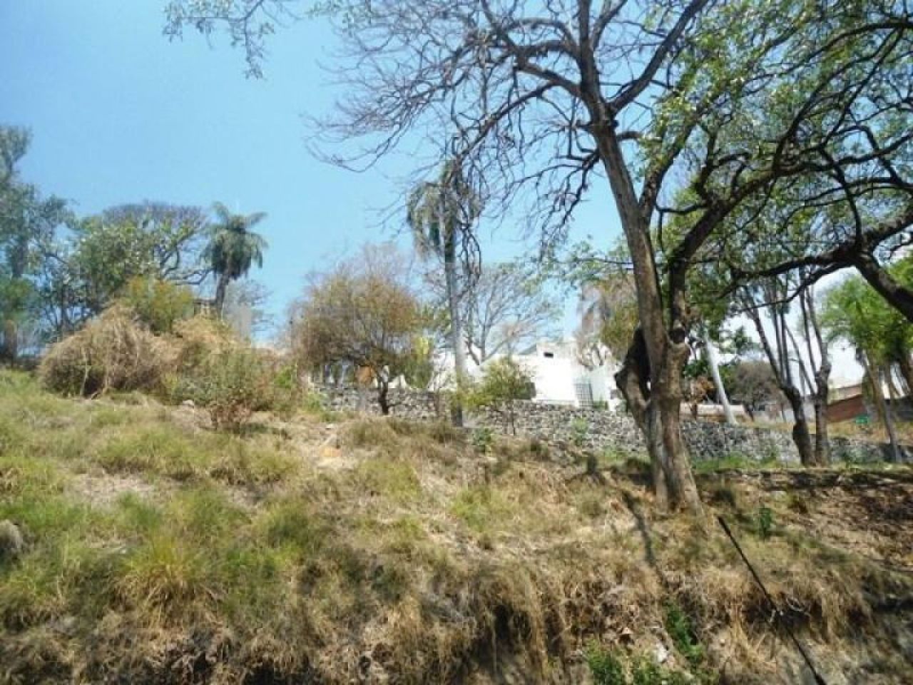 Terrenos en Palmira