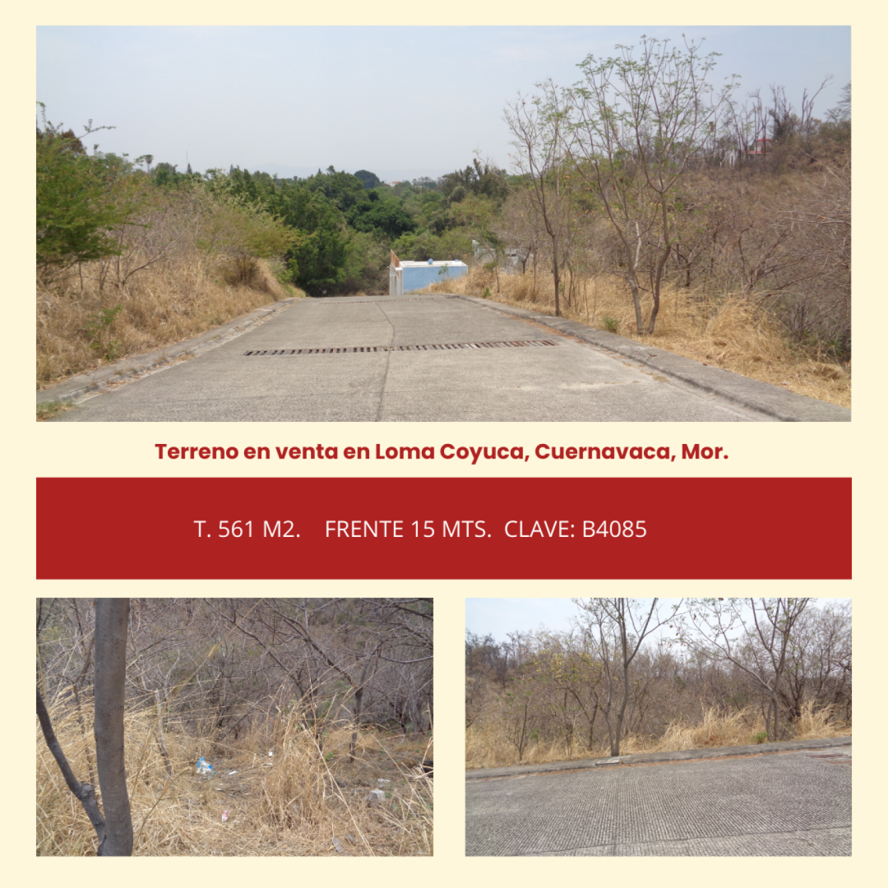 Terrenos en Lomas Coyuca