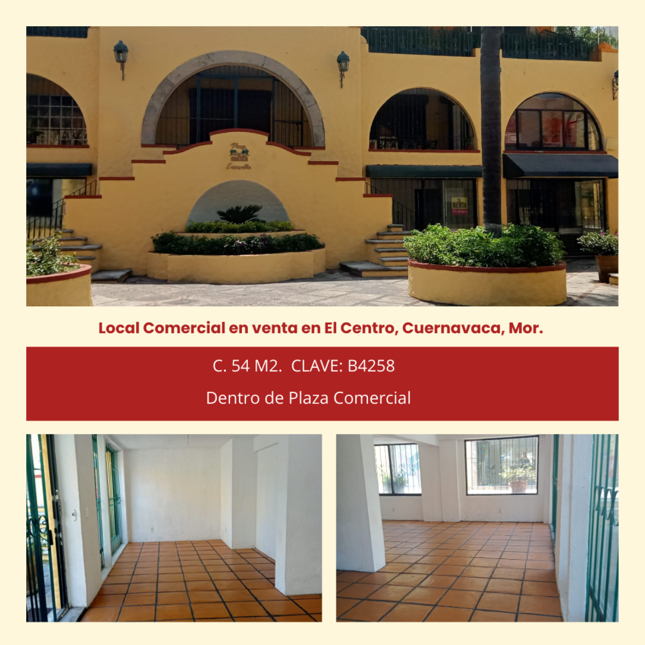 Locales comerciales en Centro