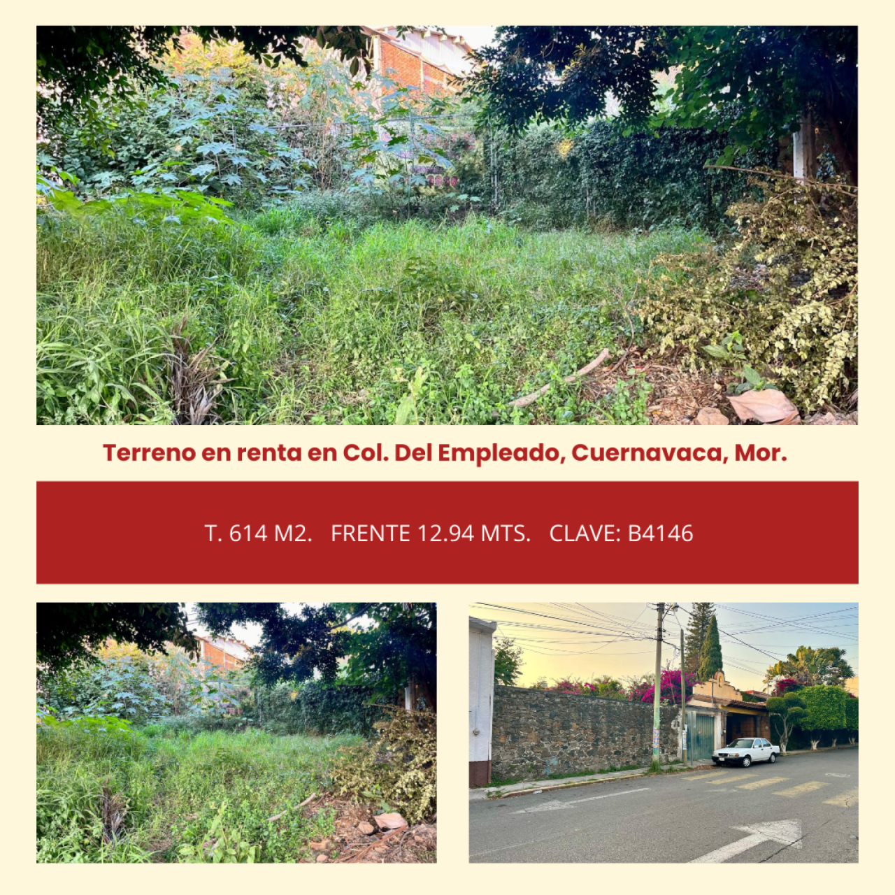 Terrenos en Empleado