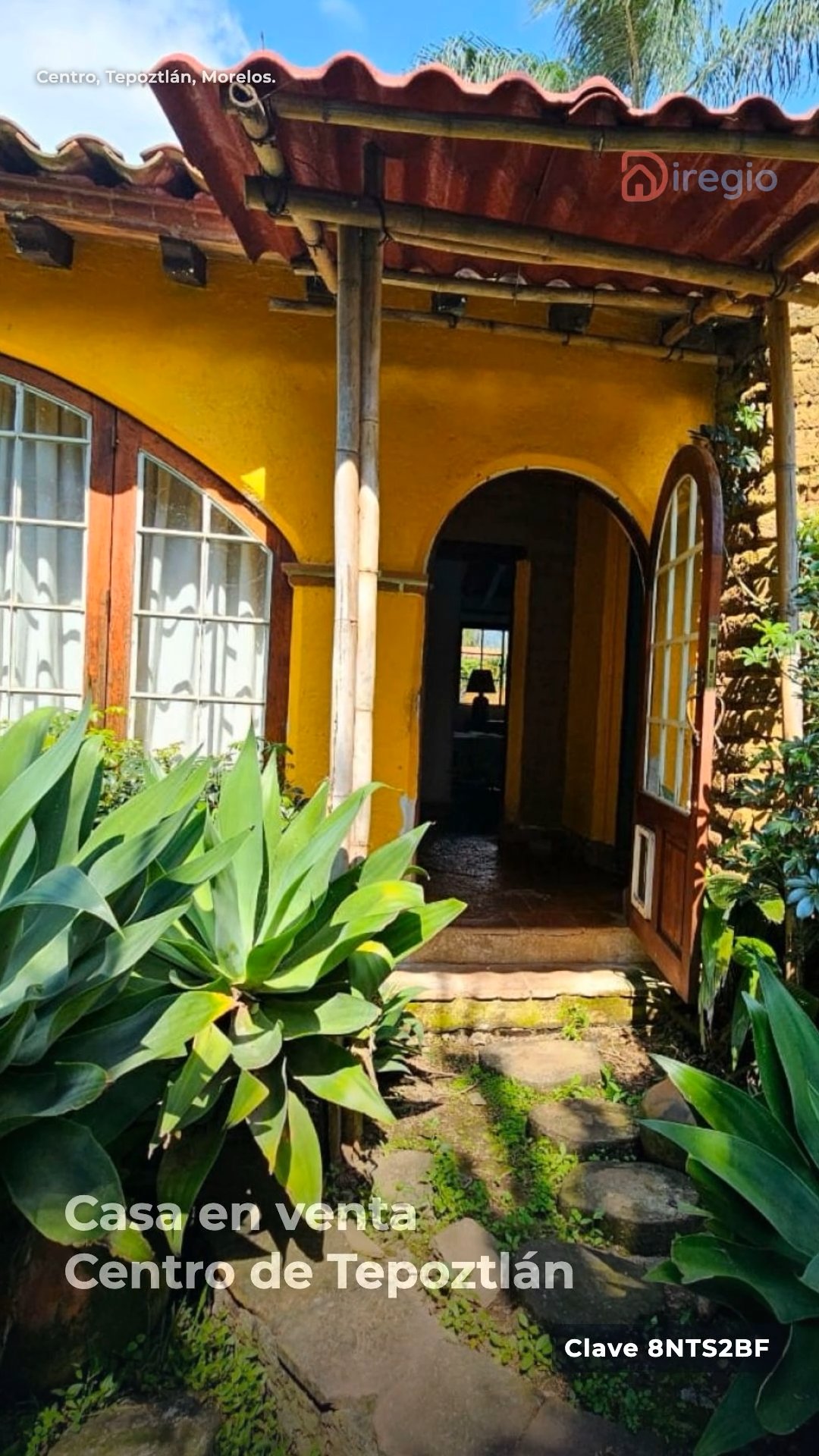 diregio-tepoztlan-8NTS2BF.mp4