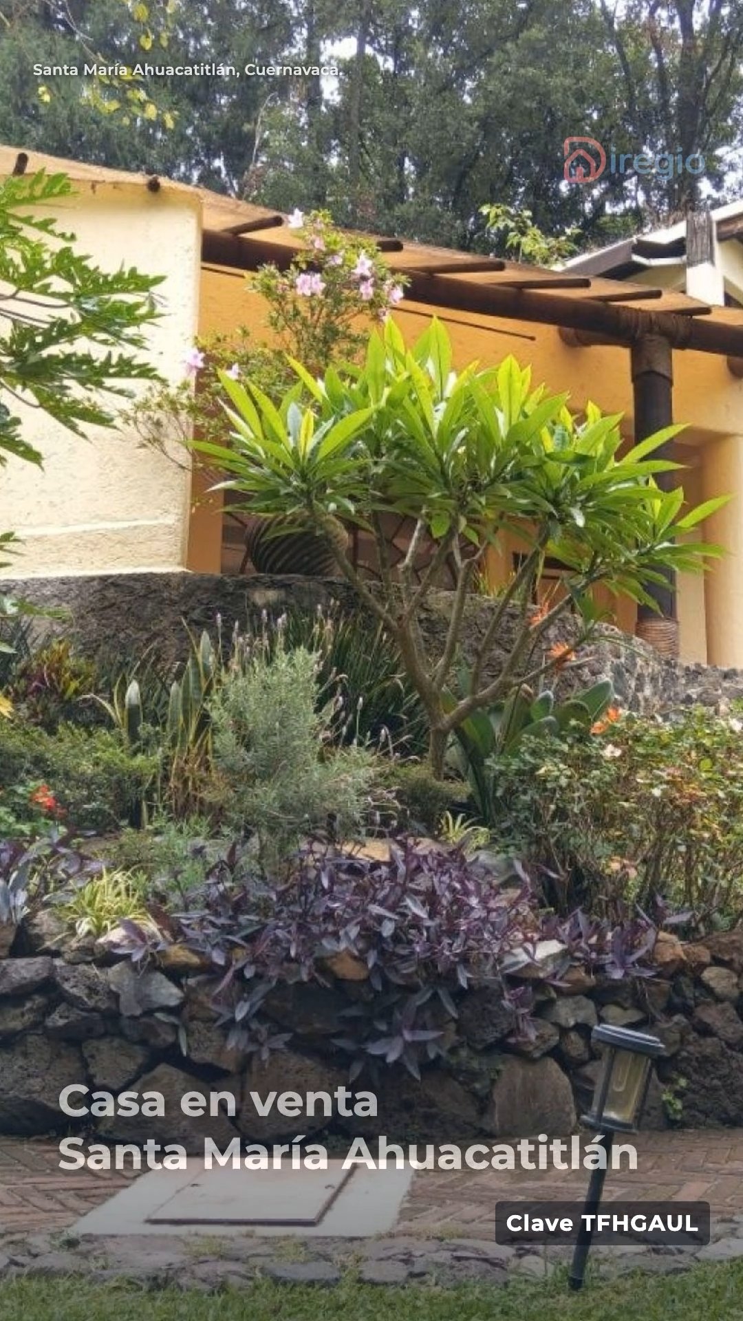 diregio-santa-maria-jardin.mp4