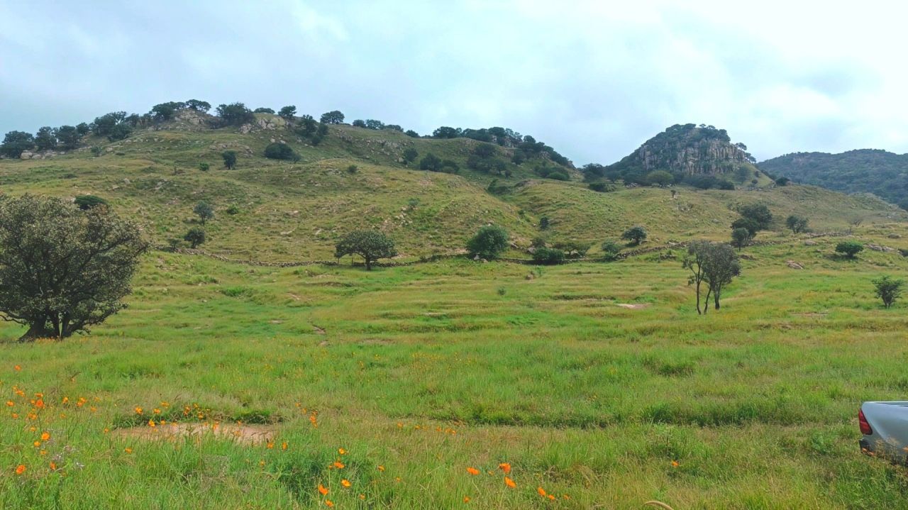 Terrenos Rústicos en Valle de los Molinos, Jalisco