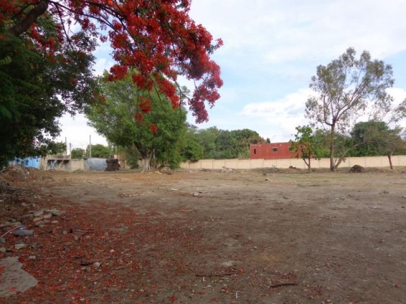 Terrenos en Cuautlixco