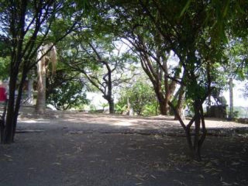 Terrenos en Col Alejandra