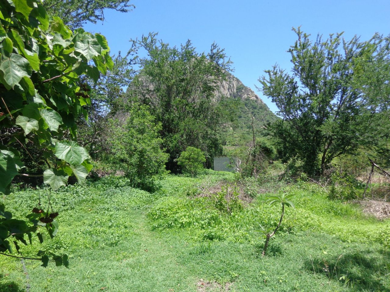 Terrenos en Chalcatzingo