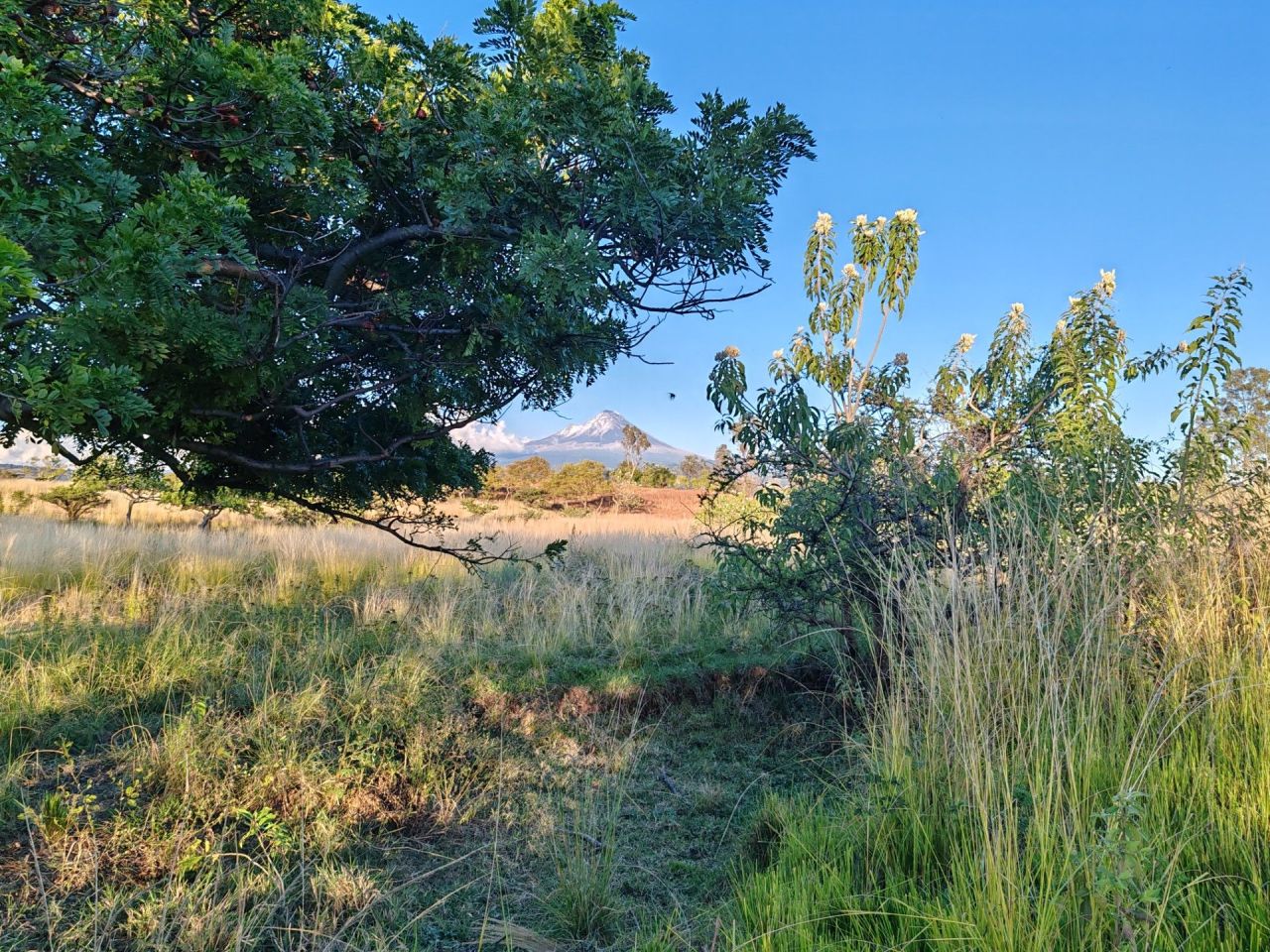 Terrenos en Mexquemeca