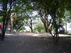 {"esp":"Vista interior del terreno"}