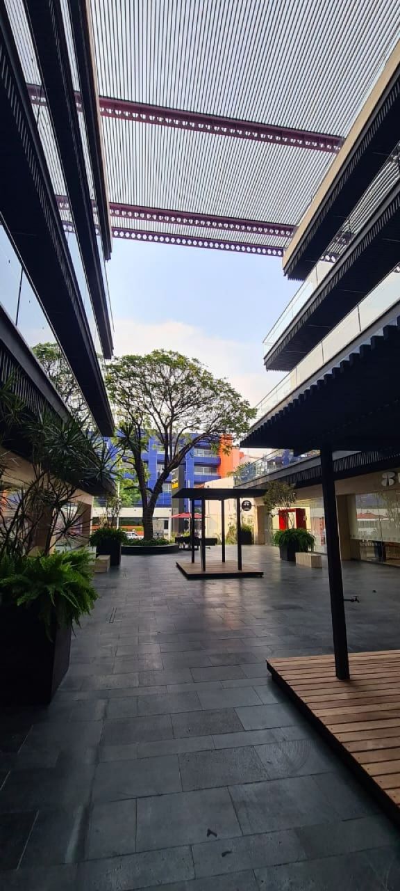 Locales comerciales en Jacarandas