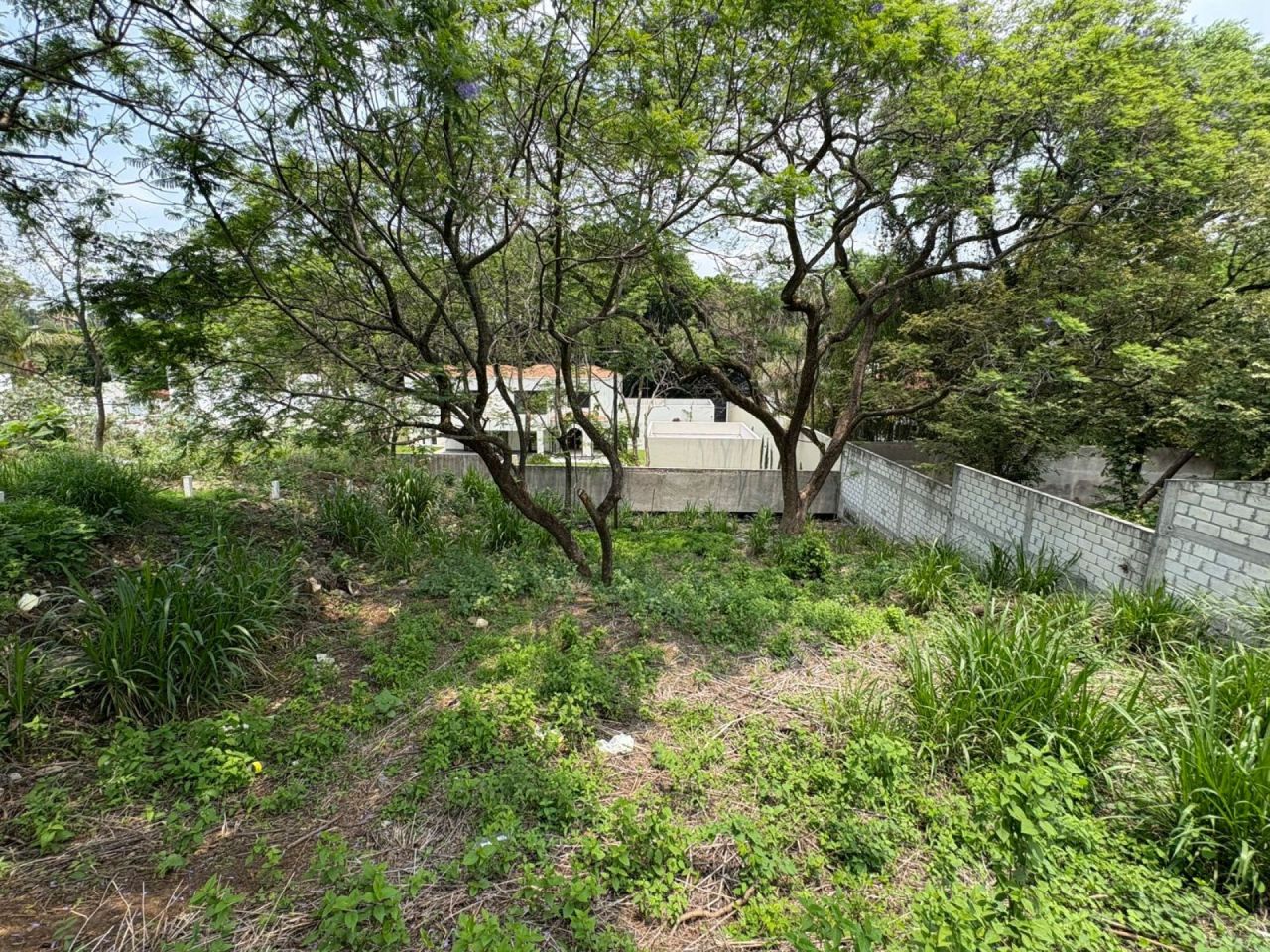 Terrenos en San Antón