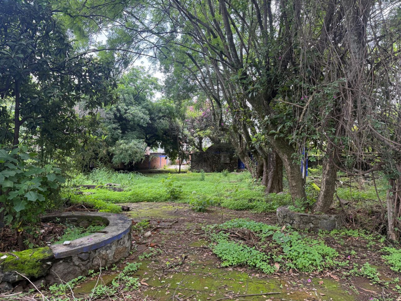 Terrenos en Lomas de Cortez