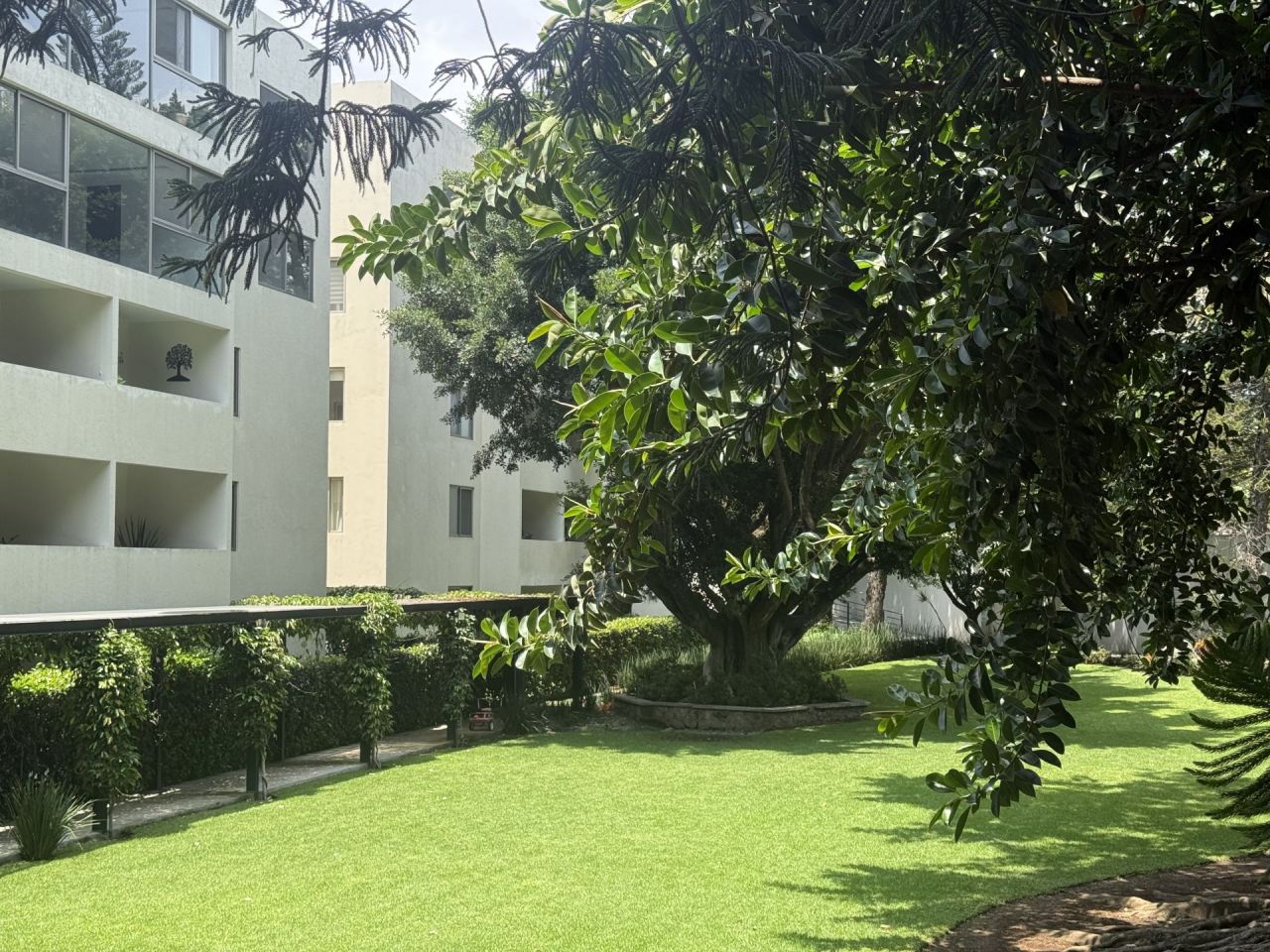 Departamentos en San Jerónimo